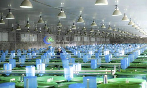 2024,哪些企業會倒下 哪些企業會雄起 哪些品種會暴雷 又有哪些機會 四問中國水產業