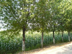 一呼百應(yīng)公司頻道