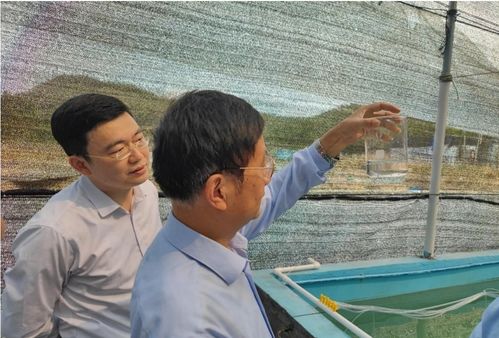紅九棘鱸苗種批量化培育項(xiàng)目通過現(xiàn)場(chǎng)驗(yàn)收